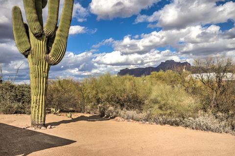 2428 E 6th Ave, Apache Junction, AZ 85119 photo 31