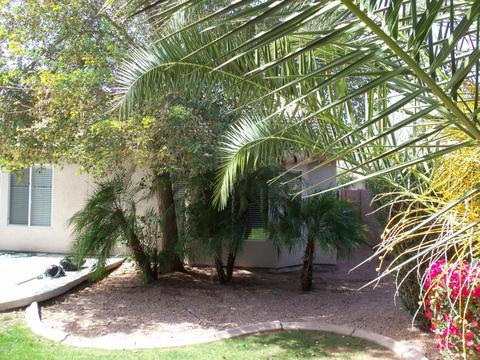 1721 N Seton --, Mesa, AZ 85205 photo 20