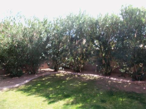 1721 N Seton --, Mesa, AZ 85205 photo 18