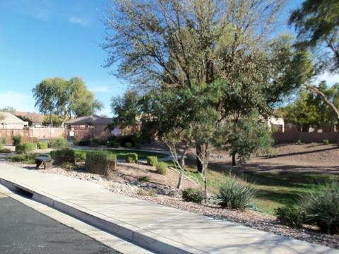 1721 N Seton --, Mesa, AZ 85205 photo 42