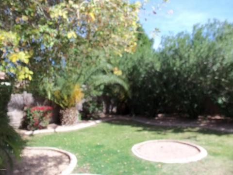 1721 N Seton --, Mesa, AZ 85205 photo 17