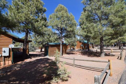 2655 Lodge Loop, Overgaard, AZ 85933 photo 23