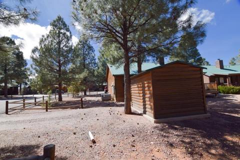 2655 Lodge Loop, Overgaard, AZ 85933 photo 22