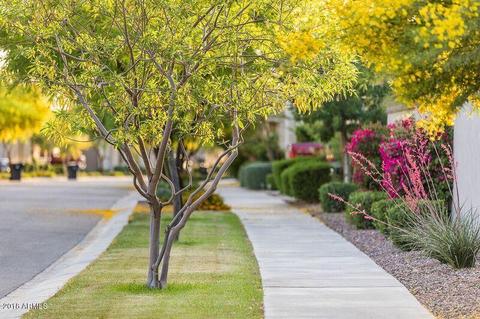 9913 E Acceleration Dr, Mesa, AZ 85212 photo 20