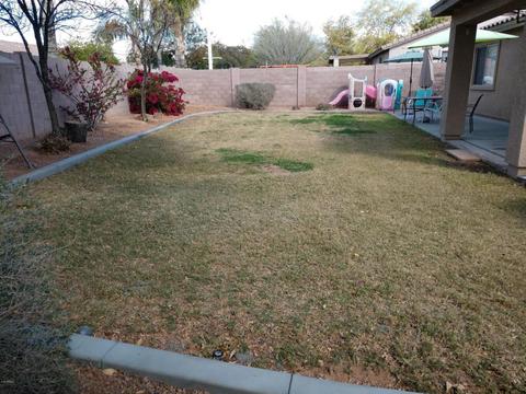 2552 E Pony Ln, Gilbert, AZ 85295 photo 18