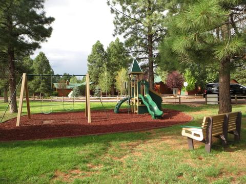 2709 High Pines Loop, Overgaard, AZ 85933 photo 16