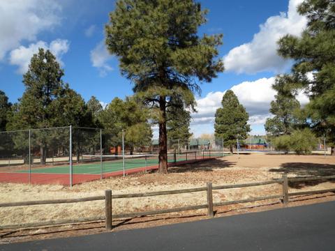 2709 High Pines Loop, Overgaard, AZ 85933 photo 17