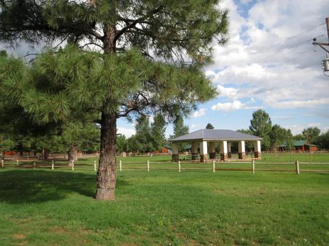 2709 High Pines Loop, Overgaard, AZ 85933 photo 14