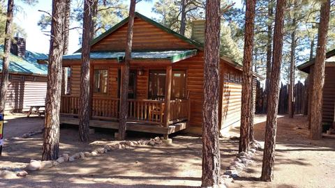 2709 High Pines Loop, Overgaard, AZ 85933 photo 1