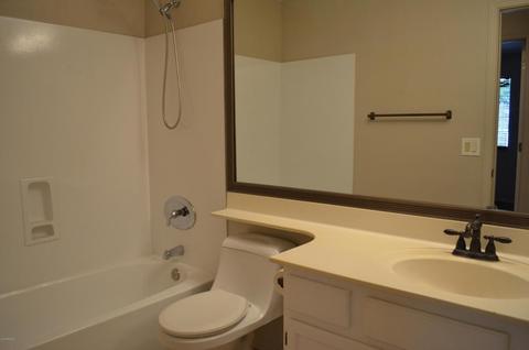 1027 W Olive Ave, Gilbert, AZ 85233 photo 21