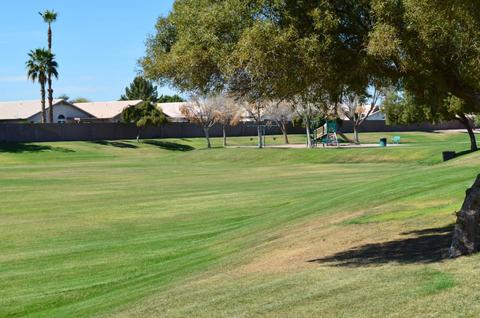 1027 W Olive Ave, Gilbert, AZ 85233 photo 40