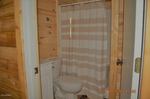 2830 Constellation Ln, Overgaard, AZ 85933 photo 25