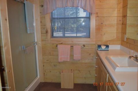 2830 Constellation Ln, Overgaard, AZ 85933 photo 9