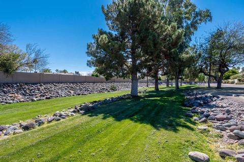 2523 E Wagoner Rd, Phoenix, AZ 85032 photo 19
