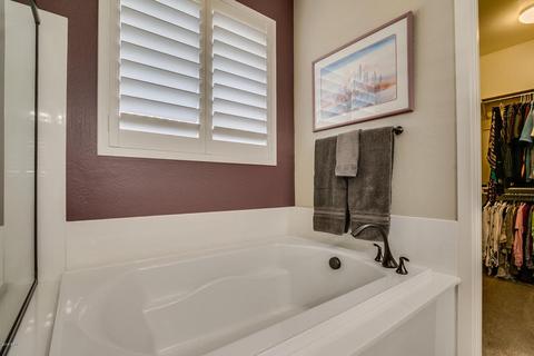 2861 E Quenton St, Mesa, AZ 85213 photo 39