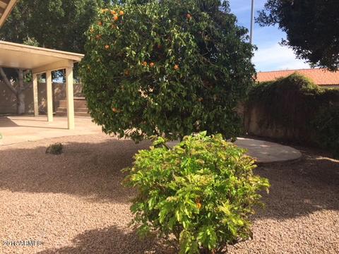 6551 E Menlo St, Mesa, AZ 85215 photo 37