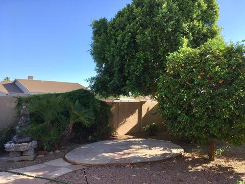 6551 E Menlo St, Mesa, AZ 85215 photo 38