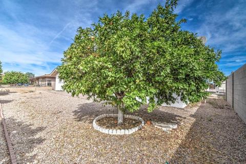 4647 E Capri Ave, Mesa, AZ 85206 photo 30