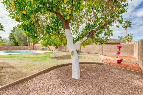 7716 S Terrace Rd, Tempe, AZ 85284 photo 45
