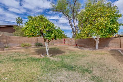 7716 S Terrace Rd, Tempe, AZ 85284 photo 42