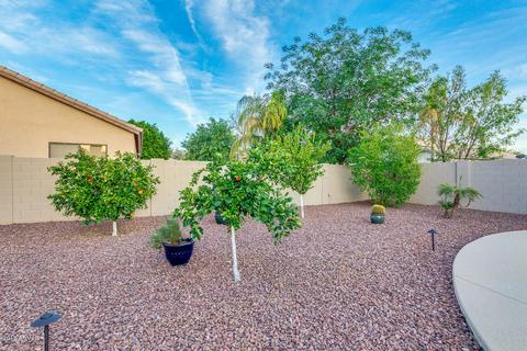 579 E Gail Dr, Gilbert, AZ 85296 photo 55