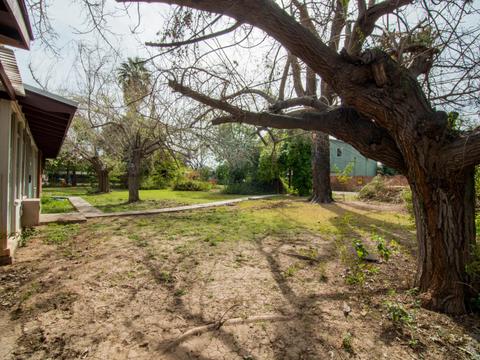 25 E 13th St, Tempe, AZ 85281 photo 58