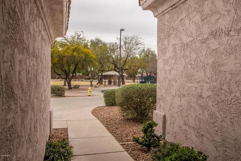 564 E Stottler Dr, Gilbert, AZ 85296 photo 5