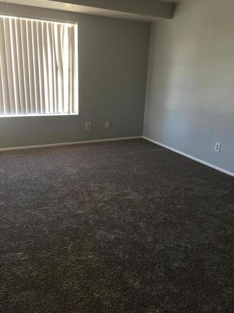 2455 E Broadway Rd #51, Mesa, AZ 85204 photo 3