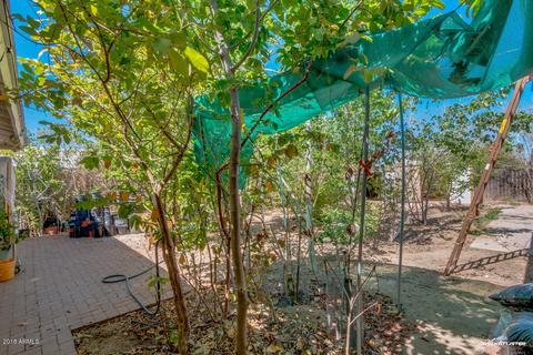 1736 Euclid Ave, Phoenix, AZ 85042 photo 31