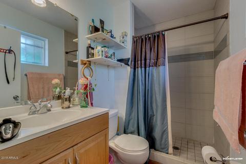 1736 Euclid Ave, Phoenix, AZ 85042 photo 24