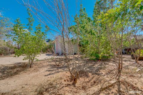 1736 Euclid Ave, Phoenix, AZ 85042 photo 32