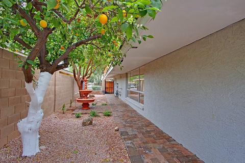 1510 W Ruth Ave, Phoenix, AZ 85021 photo 22
