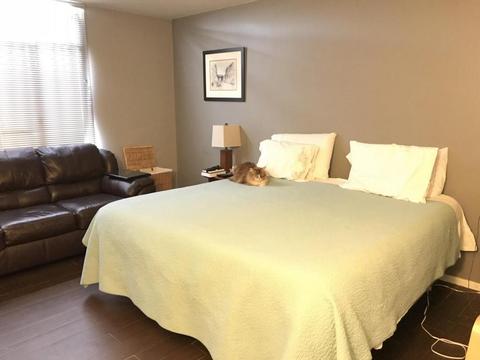 6502 N Central Ave #B103, Phoenix, AZ 85012 photo 17