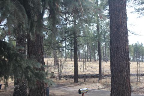 763 Celilo --, Flagstaff, AZ 86005 photo 18