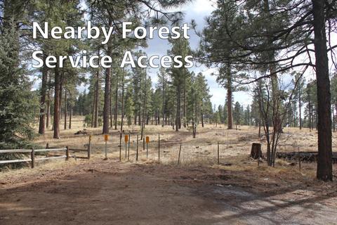 763 Celilo --, Flagstaff, AZ 86005 photo 20