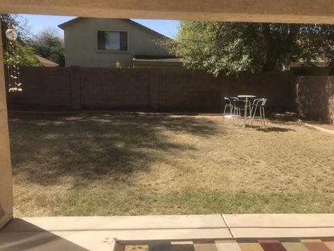 4311 E Megan St, Gilbert, AZ 85295 photo 29