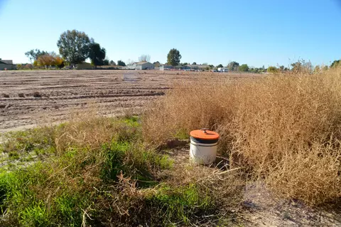 2376 E Twin Acres Ct #-, Gilbert, AZ 85298 photo 35