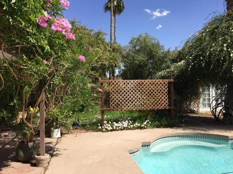 6219 E Mclellan Rd, Mesa, AZ 85205 photo 29