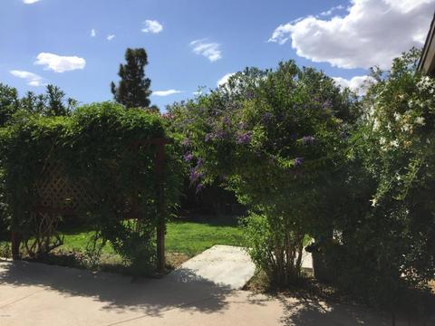 6219 E Mclellan Rd, Mesa, AZ 85205 photo 24