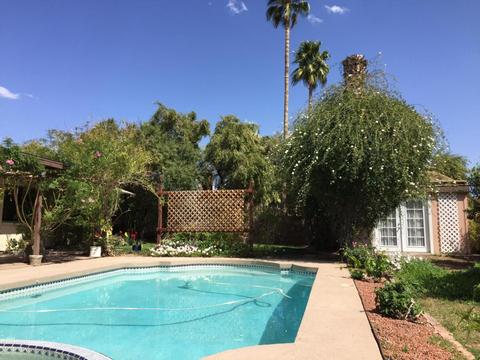 6219 E Mclellan Rd, Mesa, AZ 85205 photo 3