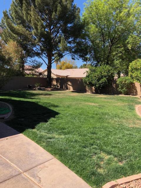2288 E Randall Rd, Gilbert, AZ 85296 photo 7