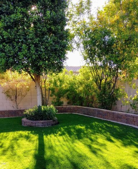2906 E Hale St, Mesa, AZ 85213 photo 24