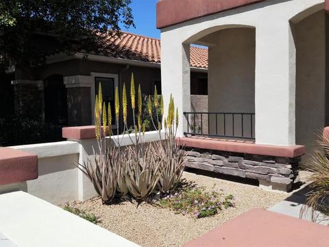 5302 E Carol Ave, Mesa, AZ 85206 photo 5