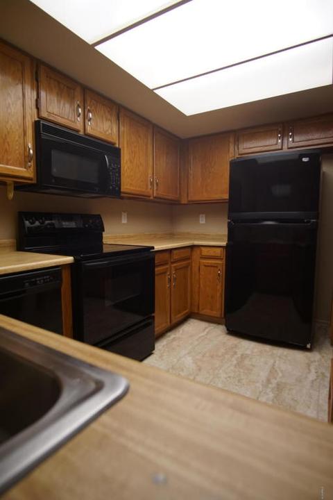 4418 E Cheyenne Dr, Phoenix, AZ 85044 photo 10