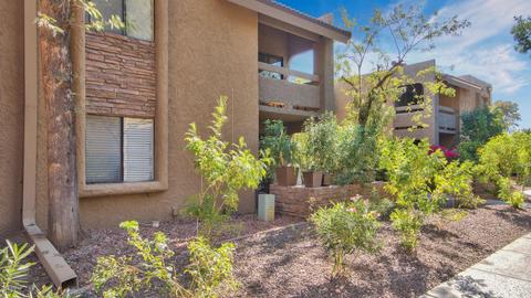 3825 E Camelback Rd #172, Phoenix, AZ 85018 photo 13