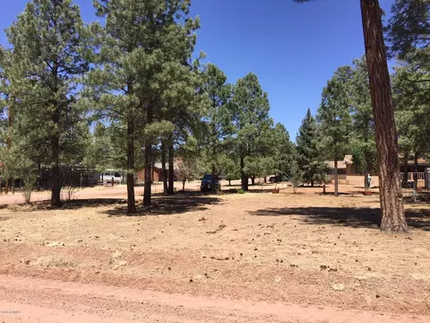 2049 Grey Squirrel Trl #--, Overgaard, AZ 85933 photo 1