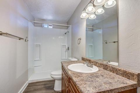 2231 E Desert Ln, Phoenix, AZ 85042 photo 26