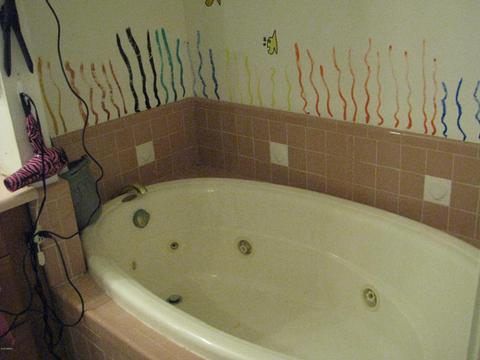 124 S Malcolm Dr, Apache Junction, AZ 85120 photo 12