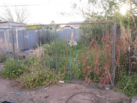 124 S Malcolm Dr, Apache Junction, AZ 85120 photo 9