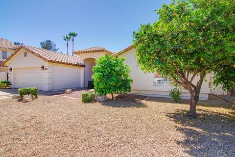427 E Terrace Ave, Gilbert, AZ 85234 photo 4